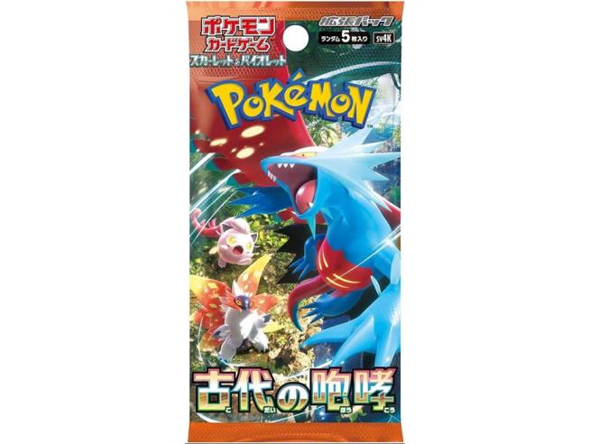 pokemon iidne karjumine 6