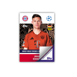 UEFA Champions League 24/25 Uzlīmes — изображение 12